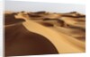 Desert sand dunes by Anonymous