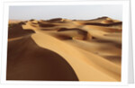 Desert sand dunes by Anonymous