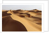 Desert sand dunes by Anonymous