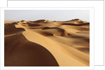 Desert sand dunes by Anonymous