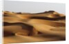 Desert sand dunes by Anonymous