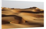 Desert sand dunes by Anonymous