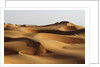 Desert sand dunes by Anonymous