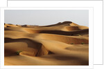 Desert sand dunes by Anonymous