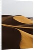 Desert sand dunes by Anonymous