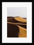 Desert sand dunes by Anonymous