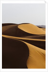 Desert sand dunes by Anonymous