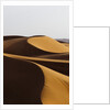 Desert sand dunes by Anonymous