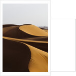 Desert sand dunes by Anonymous