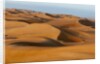 Desert sand dunes by Anonymous