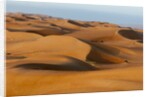 Desert sand dunes by Anonymous