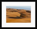 Desert sand dunes by Anonymous