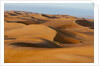 Desert sand dunes by Anonymous