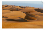 Desert sand dunes by Anonymous