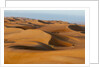 Desert sand dunes by Anonymous