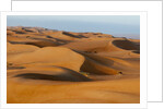 Desert sand dunes by Anonymous