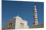 Sultan Qaboos mosque by Anonymous