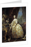 Portrait of Marie Lescszinska by Carle Van Loo