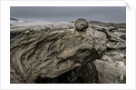 Large rocks by Flaajokull Glacier, Vatanjokull Ice Cap, Iceland by Anonymous