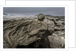 Large rocks by Flaajokull Glacier, Vatanjokull Ice Cap, Iceland by Anonymous