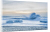 Icebergs at the Breidamerkurfjara beach, by Vatnajokull Ice Cap, Iceland by Anonymous