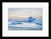 Icebergs at the Breidamerkurfjara beach, by Vatnajokull Ice Cap, Iceland by Anonymous