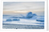 Icebergs at the Breidamerkurfjara beach, by Vatnajokull Ice Cap, Iceland by Anonymous