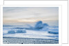 Icebergs at the Breidamerkurfjara beach, by Vatnajokull Ice Cap, Iceland by Anonymous