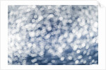 Winter Snowstorm by Anonymous