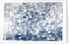 Winter Snowstorm by Anonymous