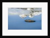 Rock with sky reflected in water. by Anonymous