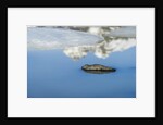 Rock with sky reflected in water. by Anonymous