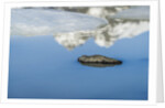 Rock with sky reflected in water. by Anonymous
