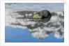 Rock with sky reflected in water. by Anonymous
