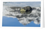 Rock with sky reflected in water. by Anonymous