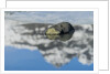 Rock with sky reflected in water. by Anonymous