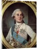 Portrait of King Louis XVI at the age of 30. by Anonymous