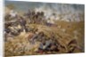 Line of fire at the battle of Rezonville by Pierre Georges Jeanniot