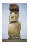 Ahu Tongariki statue called moai by Anonymous