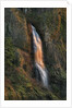 Evening light on Mist Falls by Anonymous
