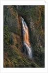 Evening light on Mist Falls by Anonymous