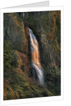 Evening light on Mist Falls by Anonymous