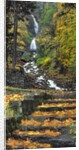 Wahkeena Falls by Anonymous