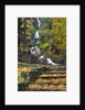 Wahkeena Falls by Anonymous