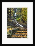 Wahkeena Falls by Anonymous