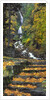 Wahkeena Falls by Anonymous