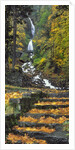 Wahkeena Falls by Anonymous
