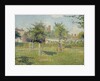 Woman in a Meadow at Eragny by Camille Pissarro
