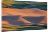 Crops of Wheat and Peas nearing Harvest by Anonymous