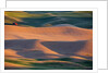 Crops of Wheat and Peas nearing Harvest by Anonymous